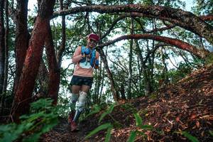 BIB: 
                            <button type="button" onclick="openModal(26345395)" class="btn btn-primary btn-sm float-right btn-popup" data-toggle="modal" data-target=".modal-high-quality">
                        <i class="fas fa-shopping-cart"></i> Add to Cart
                    </button>
                                            <button type="button" onclick="isThisMe(26345395, true)" class="btn btn-success btn-sm float-right btn-popup btn-isme hidden" data-toggle="tooltip" data-placement="bottom" title="นี่คือรูปของคุณใช่ไหม คลิกที่นี่เพื่อเอาเข้าอัลบั้ม">
                        <i class="fas fa-plus"></i> Add to album
                    </button>
                    <button type="button" onclick="isThisMe(26345395, false)" class="btn btn-warning btn-sm float-right btn-popup btn-isnotme hidden">
                        <i class="fas fa-ban"></i> Remove from album
                    </button>